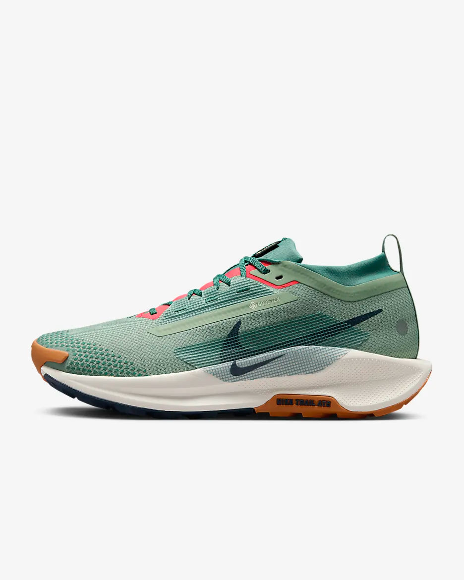 Nike Pegasus Trail 5 GORE-TEX